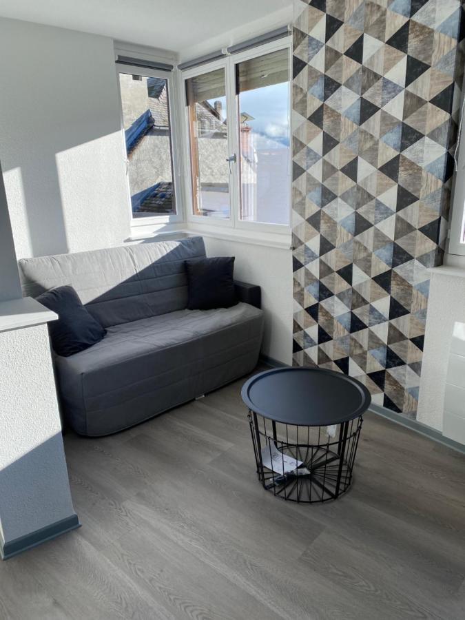 Residence Avec Un T3 Un T2 Et Un Studio En Centre Ville D Argeles-Gazost Luaran gambar